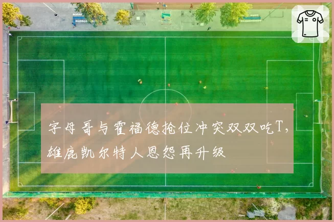 字母哥与霍福德抢位冲突双双吃T，雄鹿凯尔特人恩怨再升级