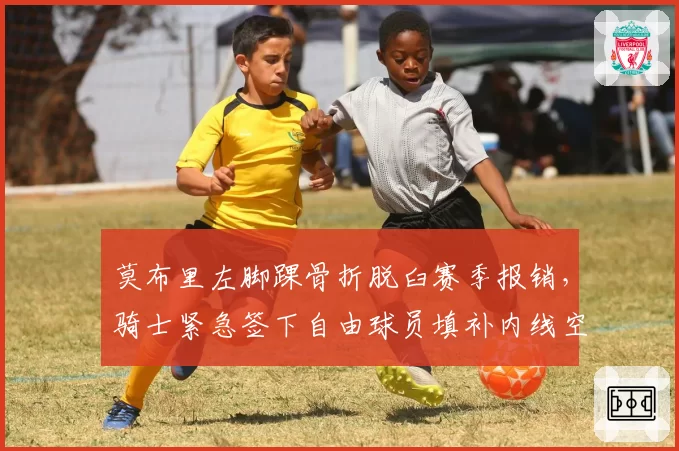 莫布里左脚踝骨折脱臼赛季报销，骑士紧急签下自由球员填补内线空缺