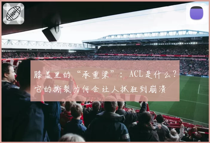 膝盖里的“承重梁”:ACL是什么?它的撕裂为何会让人抓狂到崩溃