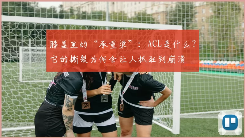 膝盖里的“承重梁”:ACL是什么?它的撕裂为何会让人抓狂到崩溃